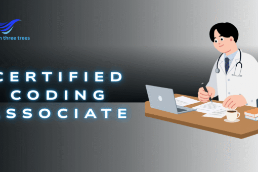 Certified Coding Associate (CCA): Complete Beginner's Guide to Medical Coding